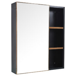Mirror Cabinet